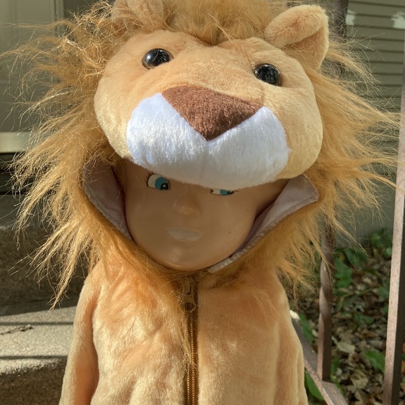 🎃 Lion Costume - Picture 2 of 7